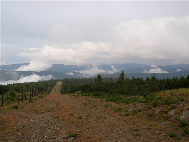 11.JPG