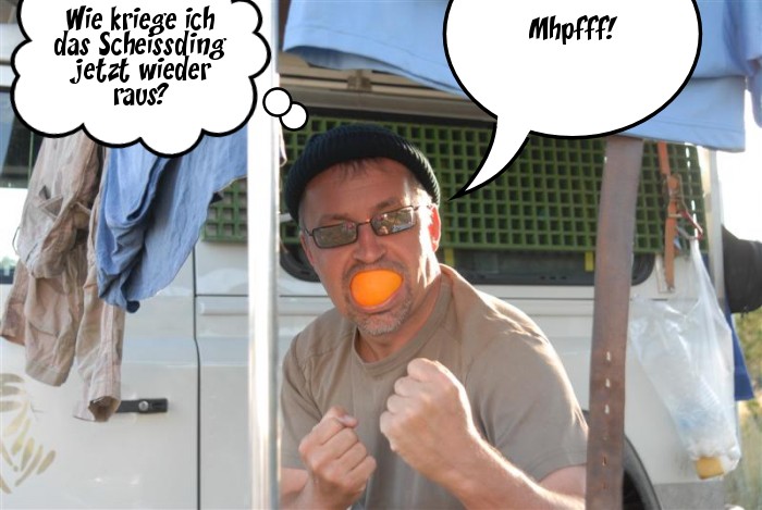 141.jpg