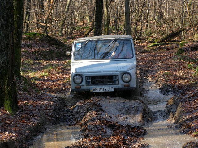 2f17e2e29dc0.jpg