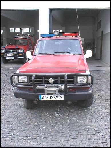 374.jpg