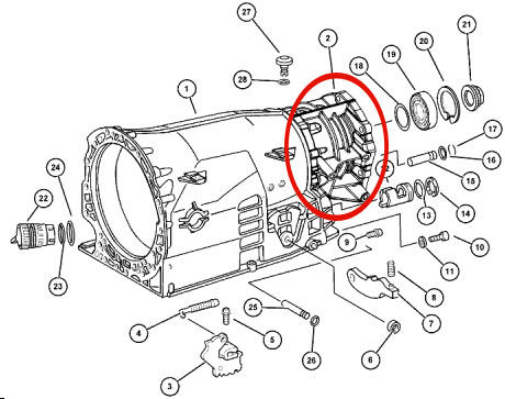 4564645.jpg