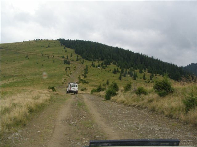 5.JPG