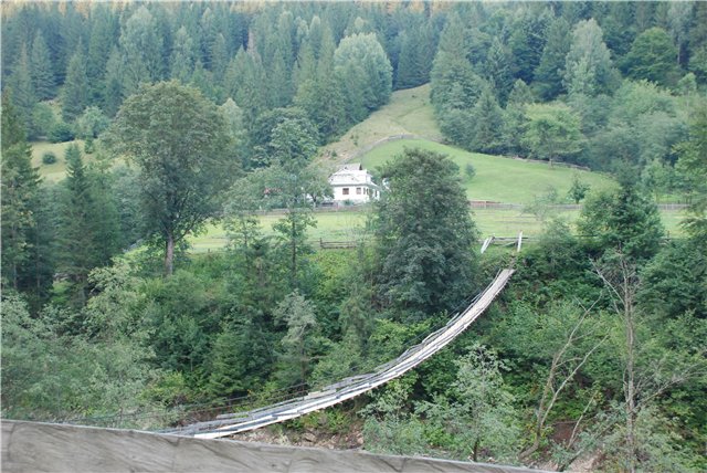 74.jpg