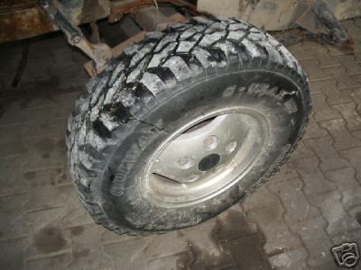 7997_1.jpg