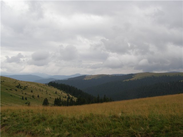8.JPG