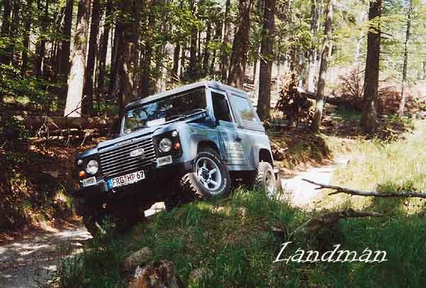 90er 3.jpg