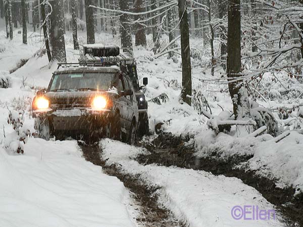 bayerwinter.jpg