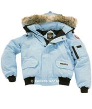 Canada Goose1.JPG