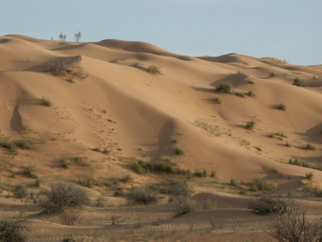 Dünen.JPG