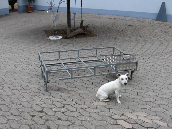 Dachträger Brownchurch 3.JPG