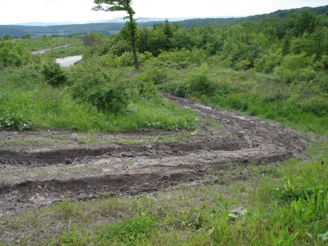 DSC09052.JPG