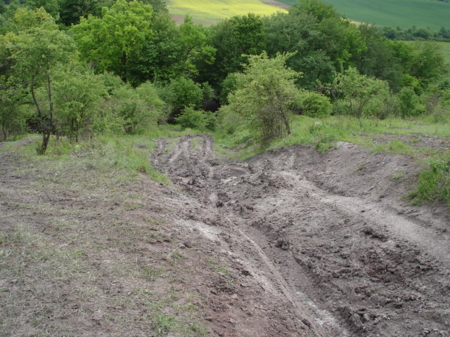 DSC09074.JPG