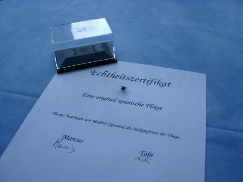 fliege_mit_zertifikat.jpg