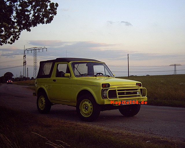 gelber niva 03.jpg