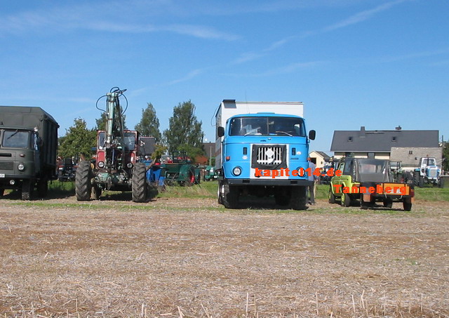 gelber niva tanneberg 2008.jpg