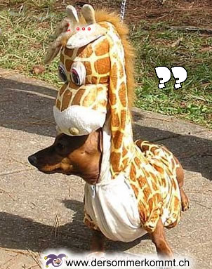 giraffa.jpg