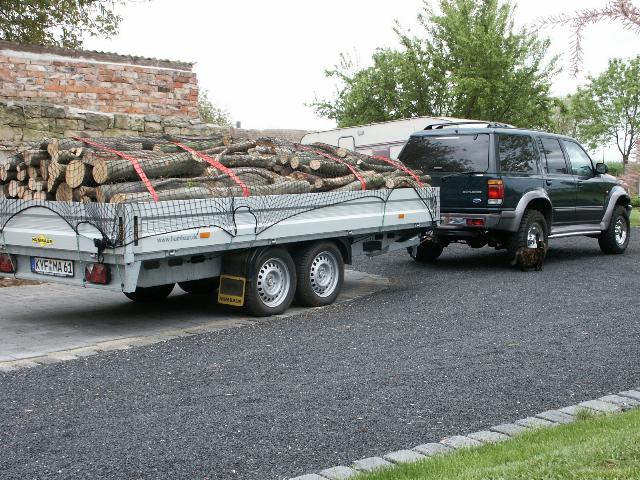 holz.jpg