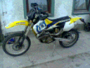 Husky2.gif