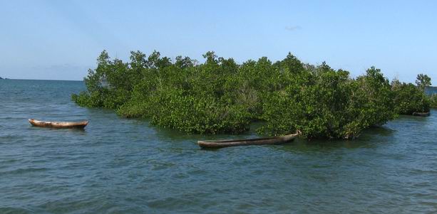 IMG_1581.JPG