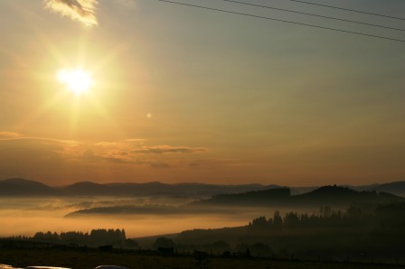 IMG_7448.jpg