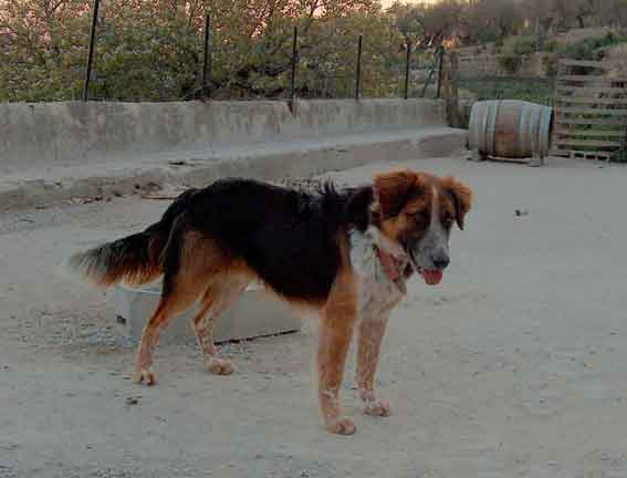 Jacki1a.jpg