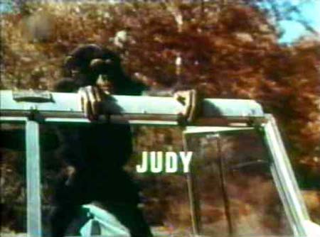 judi.jpg