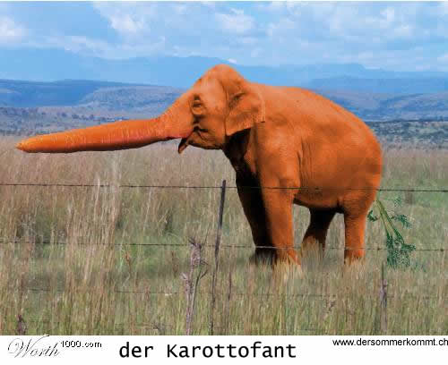 Karottofant.jpg