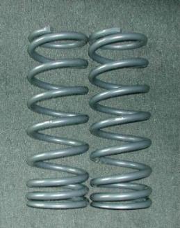 msspring001.jpg