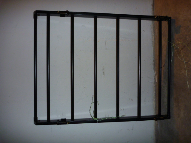 P1010831.JPG