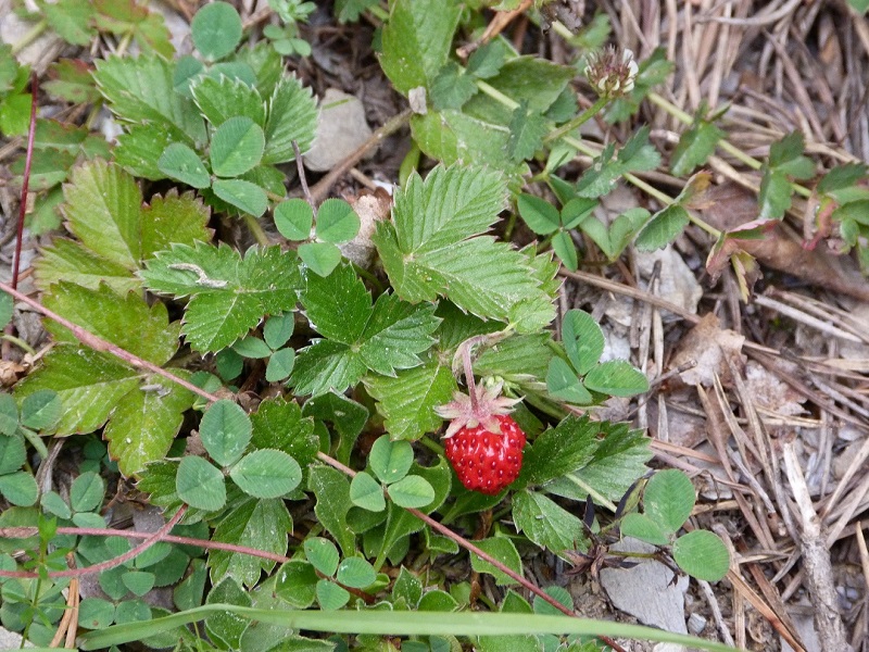 P1070307.JPG