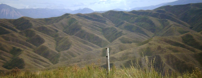 P8060110.JPG