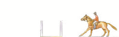 Pferde 1 .gif