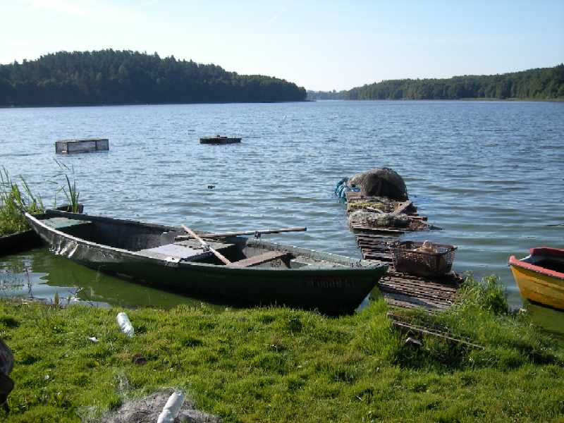 SANY0058.JPG