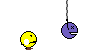 sch.gif