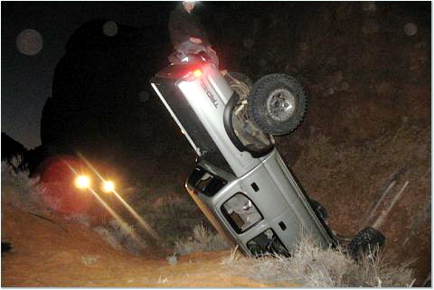 ToyoLionsBack2.jpg