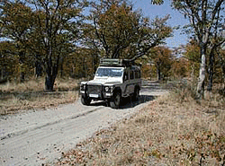 unterwegs4.gif