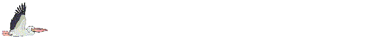 vogel05.gif