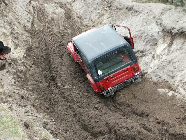 wrangler.jpg