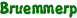 Bruemmerp