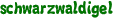 schwarzwaldigel