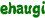 ehaugi