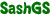 SashGS