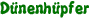 Dünenhüpfer