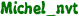 Michel_nvt