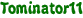 Tominator11