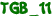 TGB_11
