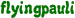 flyingpauli
