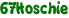 67Hoschie