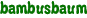bambusbaum