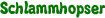 Schlammhopser